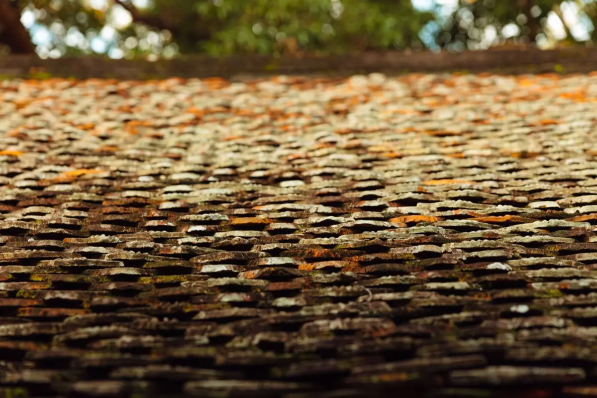 Aging shingle roof with moss growth and granule loss in Miami Gardens, FL